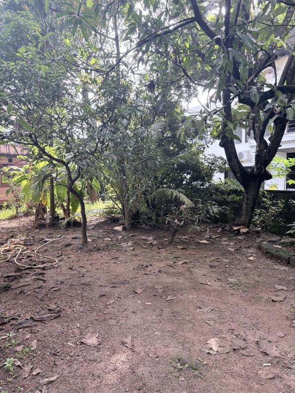  11 Cent Residential Plot for Sale in Jeppu, Mangalore