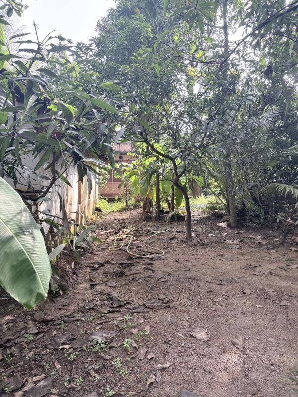  11 Cent Residential Plot for Sale in Jeppu, Mangalore
