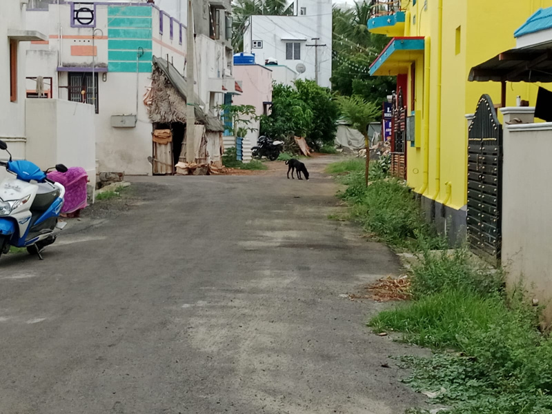  3 Cent Residential Plot for Sale in Gobichettipalayam, Erode