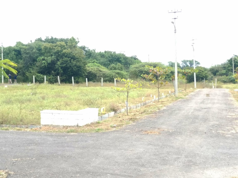  1200 Sq.ft. Residential Plot for Sale in Bagepalli, ChikBallapur