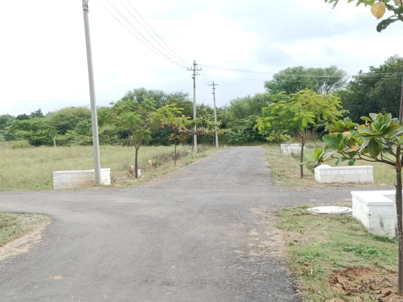  1200 Sq.ft. Residential Plot for Sale in Bagepalli, ChikBallapur