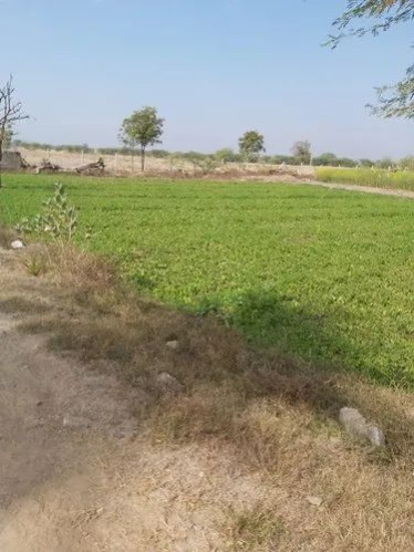  1 Acre Agricultural/Farm Land for Sale in Waraseoni, Balaghat