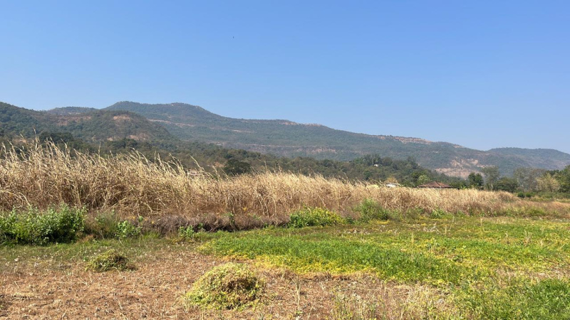  77 Guntha Residential Plot for Sale in Mahad, Raigad