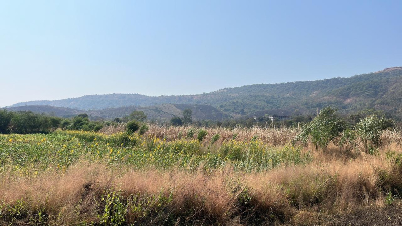  77 Guntha Residential Plot for Sale in Mahad, Raigad