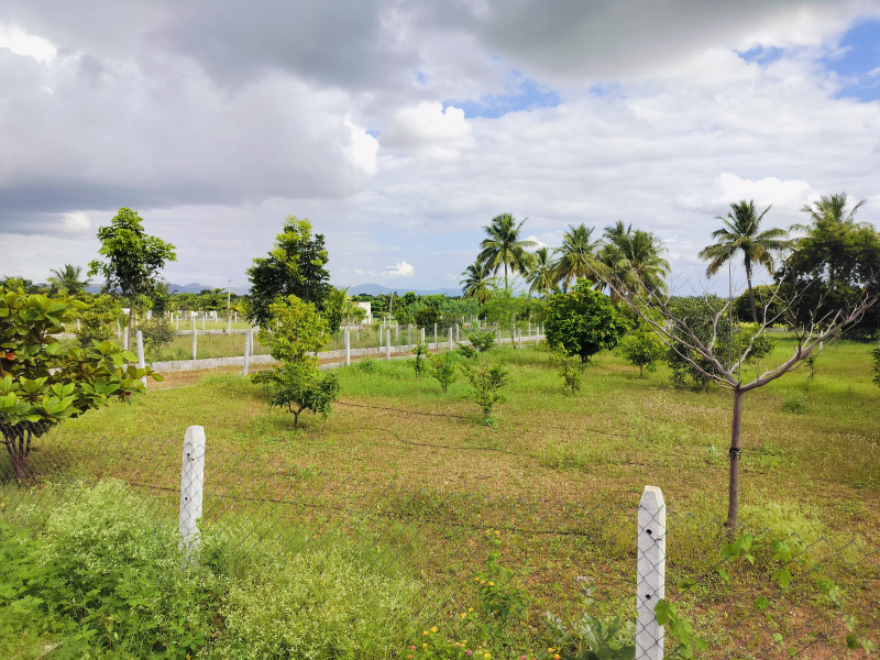  7000 Sq.ft. Residential Plot for Sale in Gauribidanur, Bangalore