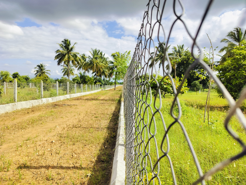  7000 Sq.ft. Residential Plot for Sale in Gauribidanur, Bangalore