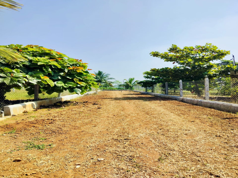  7000 Sq.ft. Residential Plot for Sale in Gauribidanur, Bangalore