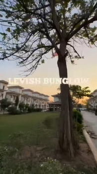 3 BHK Flat for Sale in Mahemdavad, Kheda