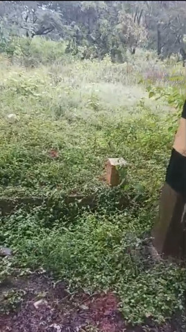  600 Sq.ft. Residential Plot for Sale in Atibele, Bangalore