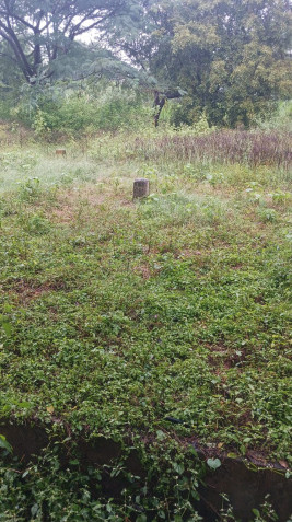  600 Sq.ft. Residential Plot for Sale in Atibele, Bangalore