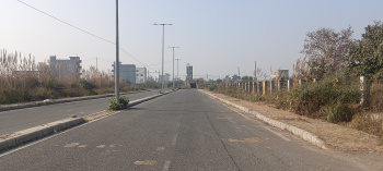  Residential Plot for Sale in Sector 36 Rohini, Delhi