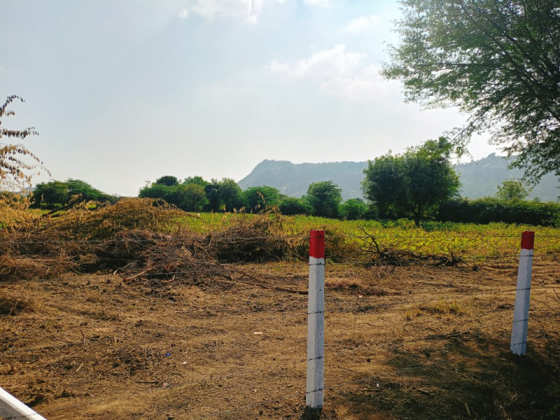  6 Bigha Agricultural/Farm Land for Sale in Sheoganj, Sirohi