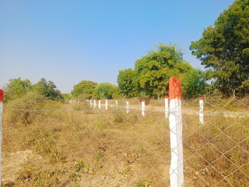  6 Bigha Agricultural/Farm Land for Sale in Sumerpur Pali