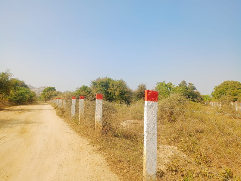  6 Bigha Agricultural/Farm Land for Sale in Sumerpur Pali