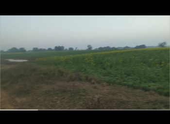  Industrial Land for Sale in Huzur, Rewa