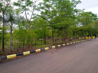  Agricultural Land for Sale in Shankarpally, Rangareddy