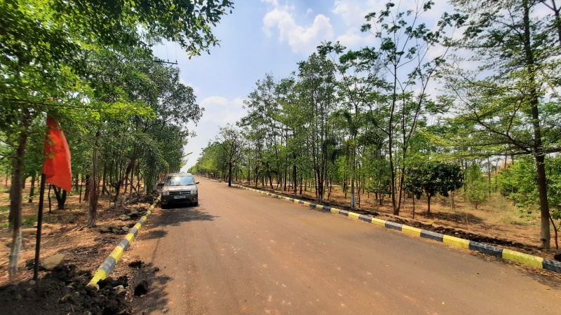  2000 Sq. Yards Agricultural/Farm Land for Sale in Shankarpally, Rangareddy