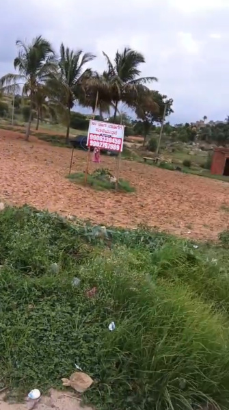  10 Guntha Agricultural/Farm Land for Rent in Koratagere, Tumkur