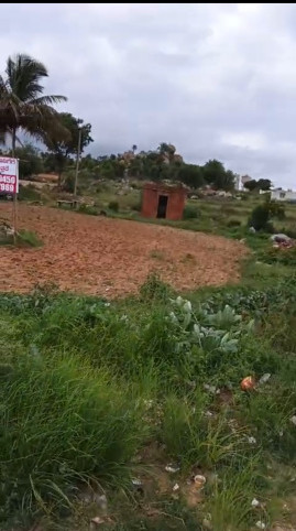  10 Guntha Agricultural/Farm Land for Rent in Koratagere, Tumkur