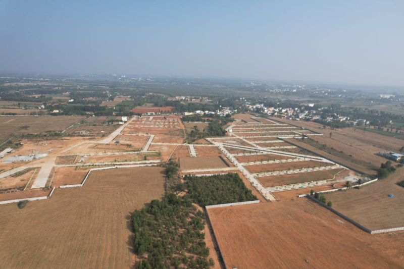  1200 Sq.ft. Residential Plot for Sale in Adugodi, Bangalore