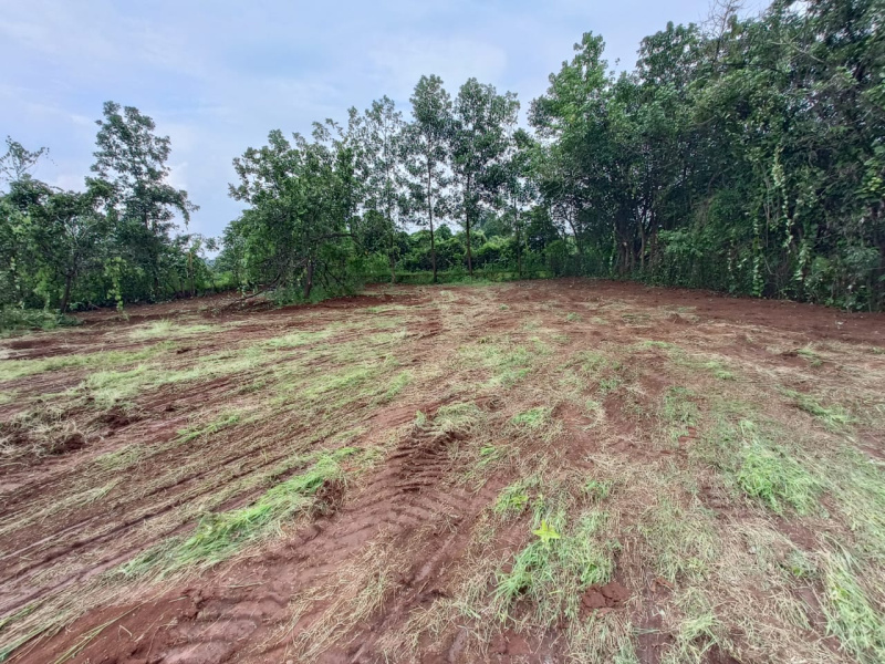  63 Guntha Agricultural/Farm Land for Sale in Mangaon, Raigad