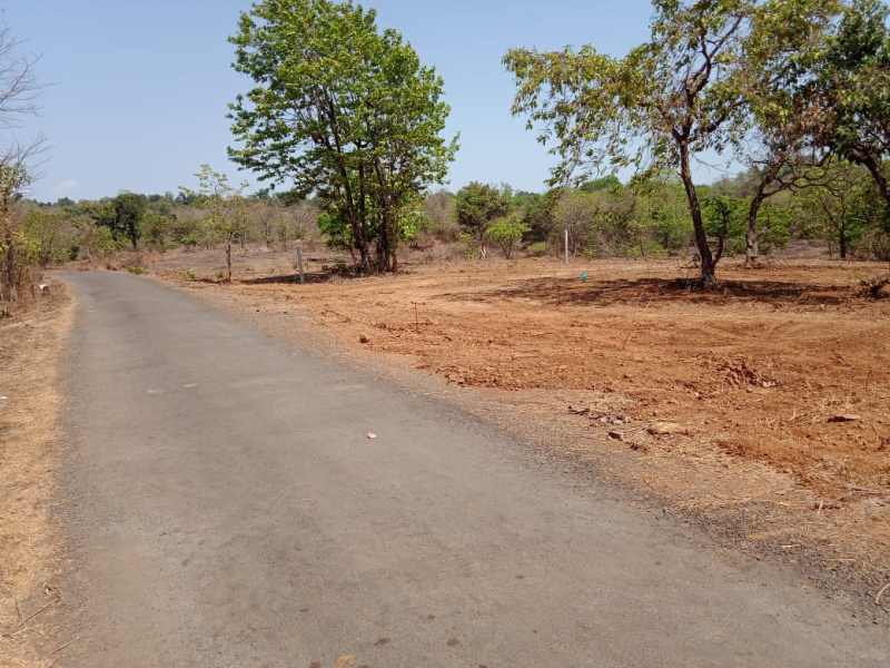  177 Guntha Agricultural/Farm Land for Sale in Mangaon, Raigad