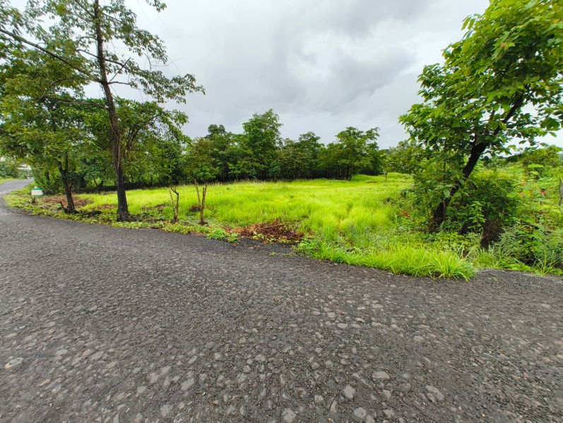  13 Guntha Agricultural/Farm Land for Sale in Mangaon, Raigad