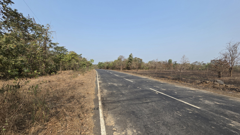  136 Guntha Agricultural/Farm Land for Sale in Mangaon, Raigad