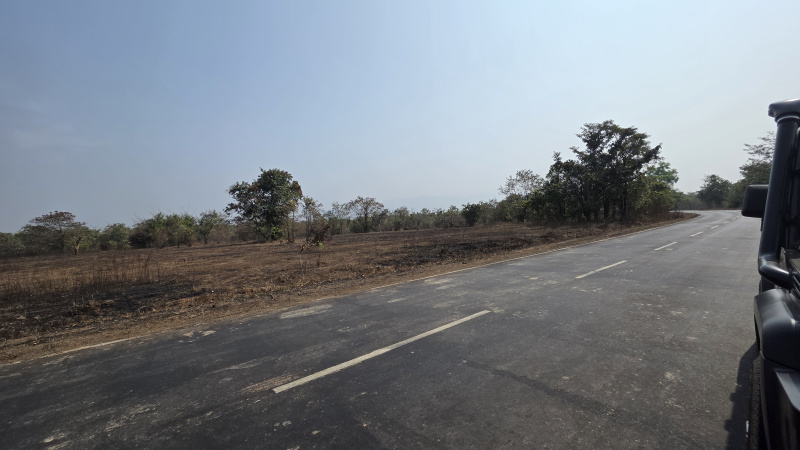 136 Guntha Agricultural/Farm Land for Sale in Mangaon, Raigad