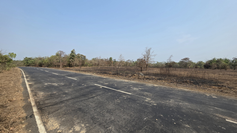  136 Guntha Agricultural/Farm Land for Sale in Mangaon, Raigad