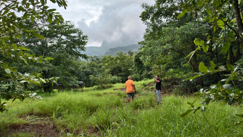  3 Acre Agricultural/Farm Land for Sale in Mangaon, Raigad