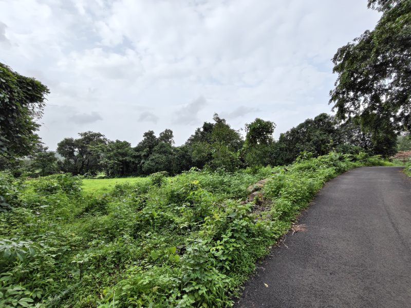 19 Guntha Agricultural/Farm Land for Sale in Mangaon, Raigad