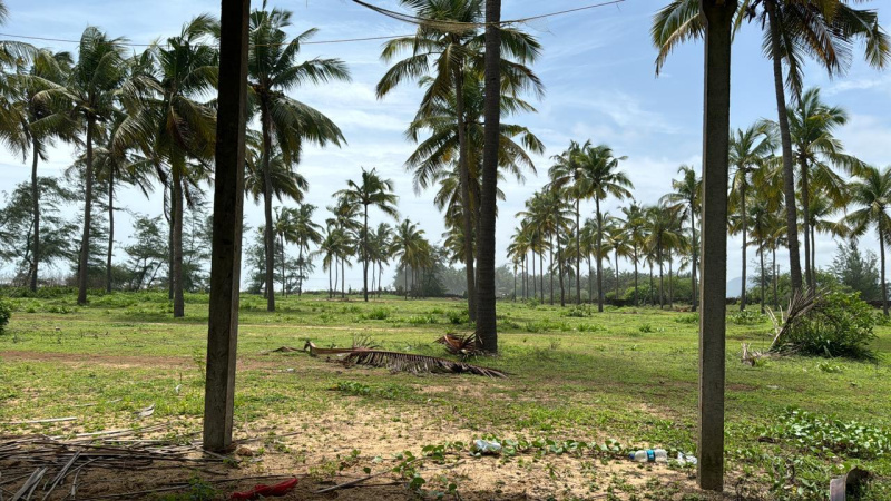  40 Guntha Commercial Land for Sale in Murdeshwar, Uttara Kannada