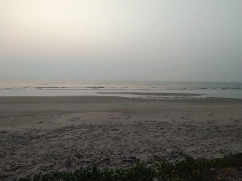  39 Guntha Agricultural/Farm Land for Sale in Bhatkal, Uttara Kannada