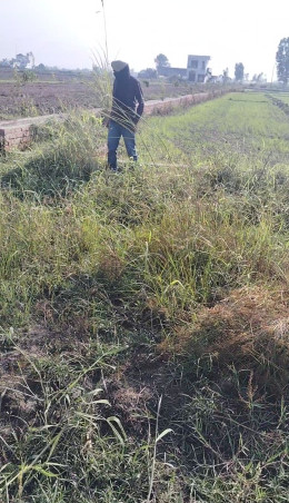  1008 Sq.ft. Residential Plot for Sale in Sitarganj, Udham Singh Nagar