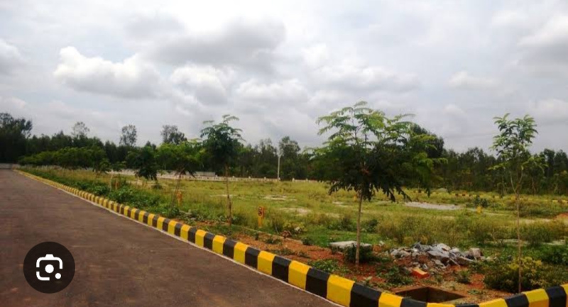  165 Sq. Yards Residential Plot for Sale in Shankarpally, Rangareddy