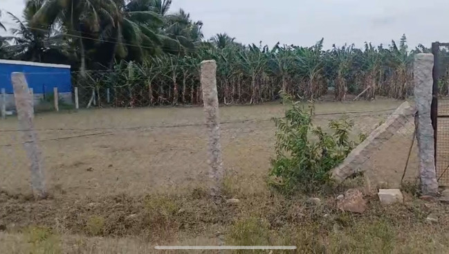  5 Acre Agricultural/Farm Land for Sale in Annur, Coimbatore