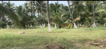  Agricultural Land for Sale in Sengalipalayam, Coimbatore