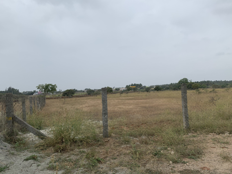  3 Acre Agricultural/Farm Land for Sale in Karanampettai, Coimbatore