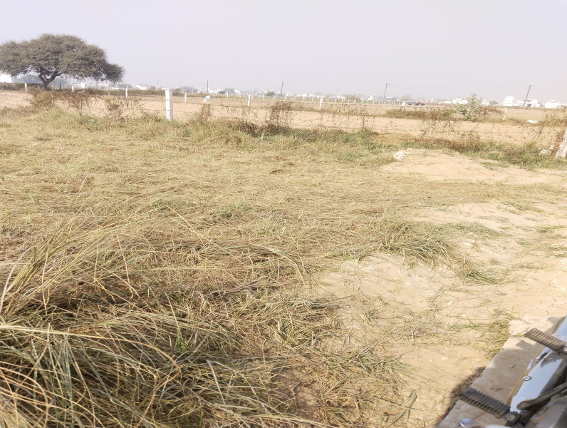  1784 Sq. Yards Agricultural/Farm Land for Sale in Sultanpur, Gurgaon