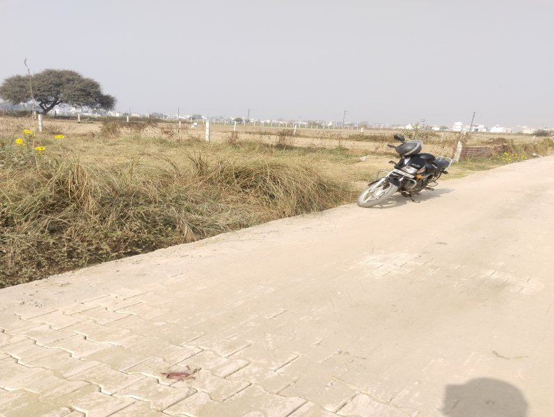  1784 Sq. Yards Agricultural/Farm Land for Sale in Sultanpur, Gurgaon