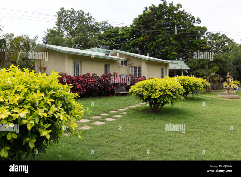 3 BHK 500 Sq. Yards Villa for Sale in Panigaon Khader, Vrindavan