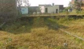  Residential Plot for Sale in Garha, Jalandhar