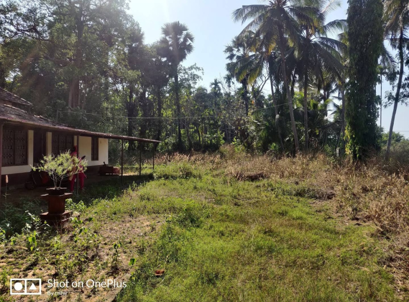  24 Ares Agricultural/Farm Land for Sale in Padubidre, Udupi