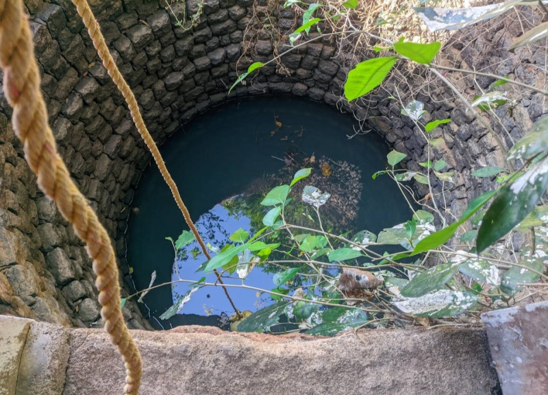  24 Ares Agricultural/Farm Land for Sale in Padubidre, Udupi