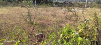  Residential Plot for Sale in Kadakola, Mysore