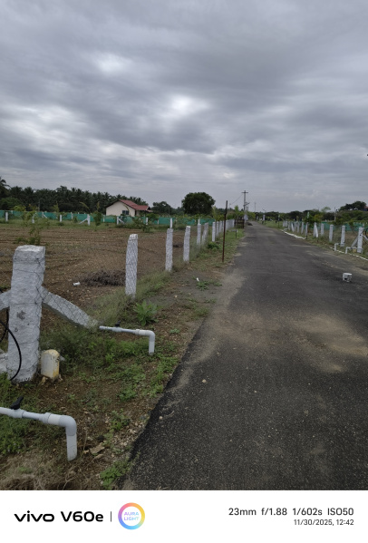  9500 Sq.ft. Agricultural/Farm Land for Sale in Kinathukadavu, Coimbatore