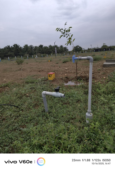  805 Sq.ft. Residential Plot for Sale in Kinathukadavu, Coimbatore