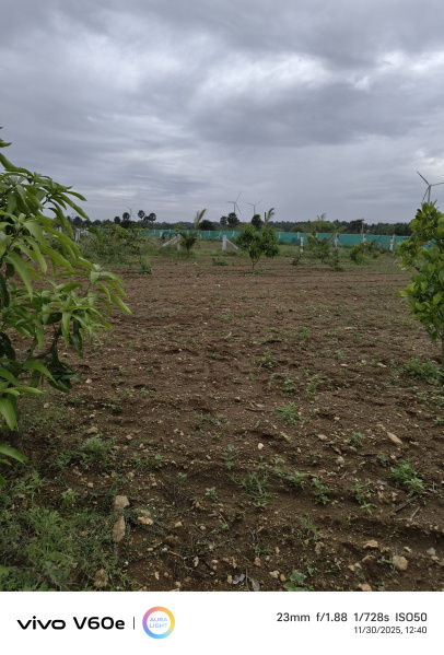  10300 Sq.ft. Agricultural/Farm Land for Sale in Kinathukadavu, Coimbatore