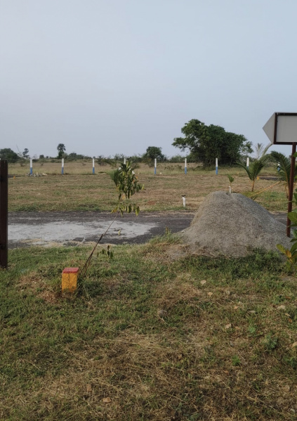  772 Sq.ft. Residential Plot for Sale in Kinathukadavu, Coimbatore
